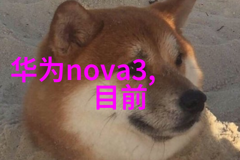 4平方的卫生间装修需要多少钱-精装小卫浴设计如何在有限空间内打造舒适私密空间