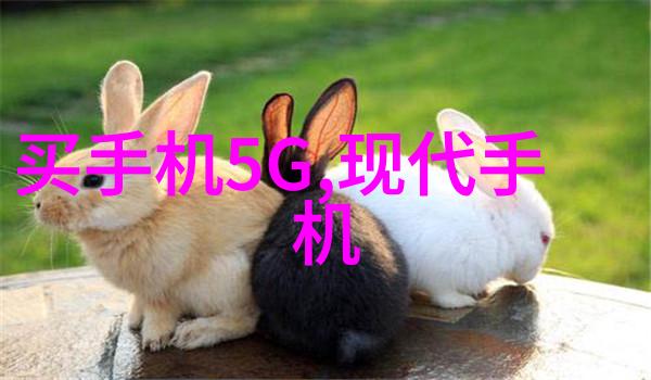 西南财经大学研究生院我在这座古城的学术殿堂里探索知识的边界