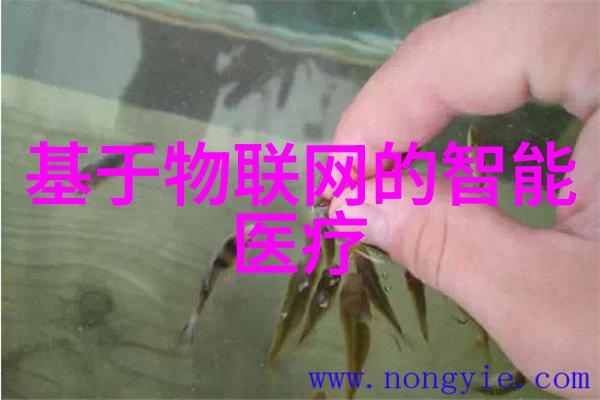 大规模生产中的连续净制系统设计要领
