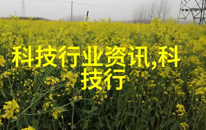 个人信用报告透明度与安全性的双刃剑
