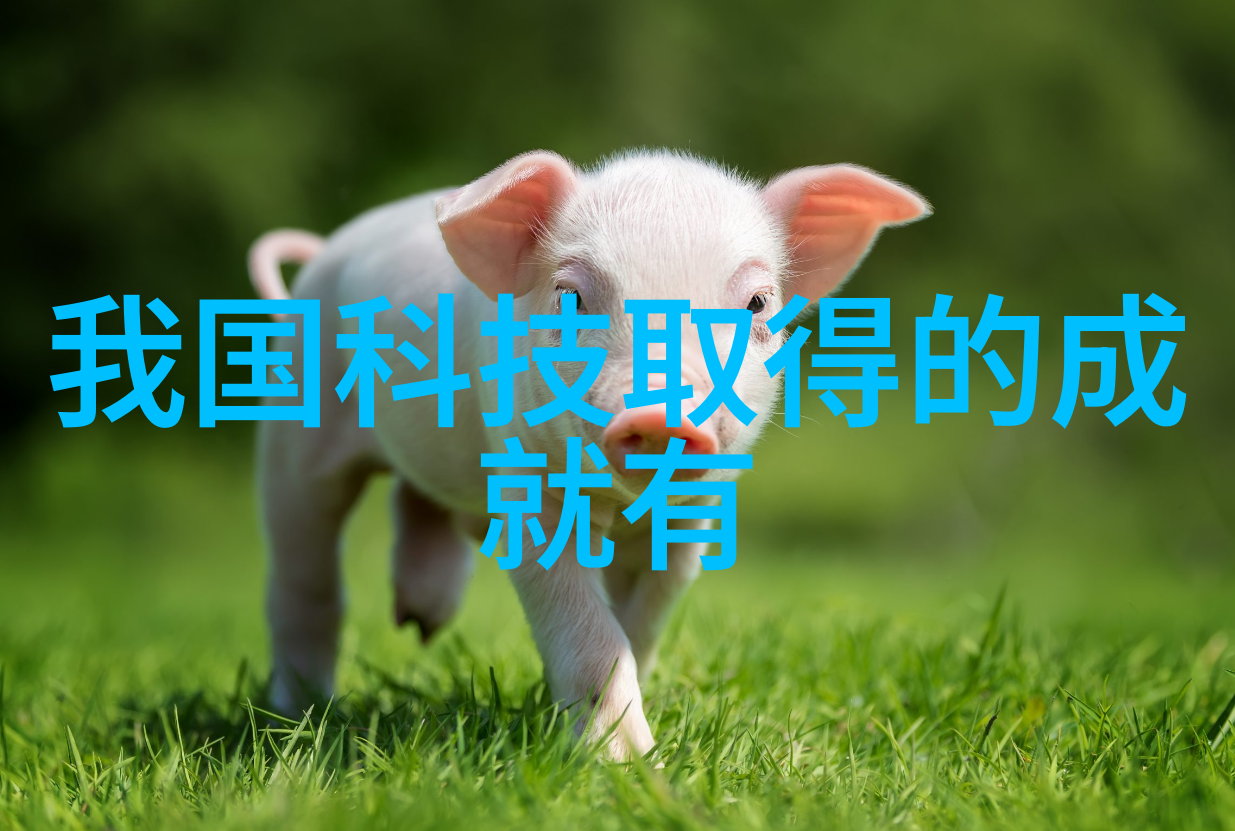 家居美学我来教你如何在客厅里摆个漂亮的聚会
