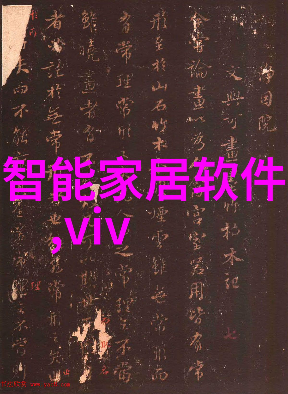 手机配件网无限可能的数字生活伴侣