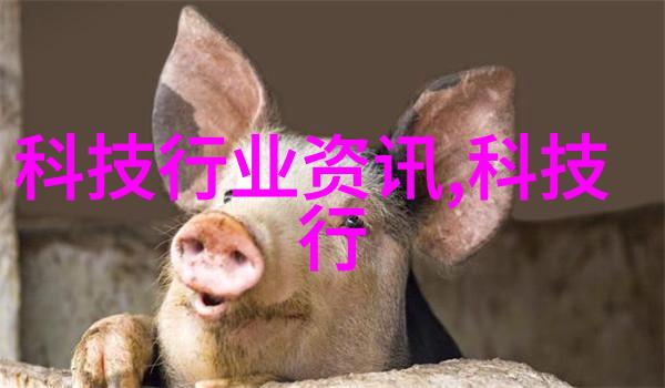 化工固体药品检测技术与规范确保药品安全性与质量标准的实现