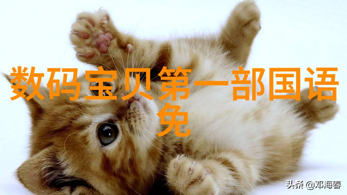 机器的末日破碎的重复