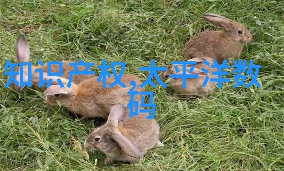我来告诉你PVC水管价格表一目了然