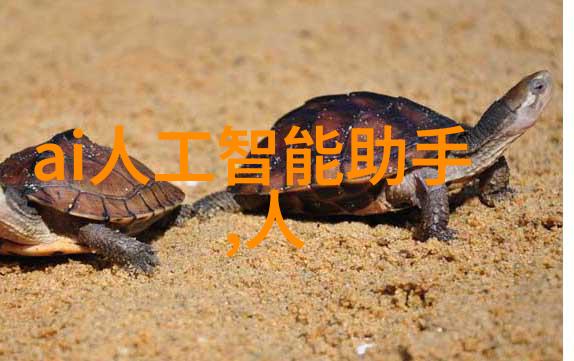 毛坯房装修的开端规划与预算的重要性探究