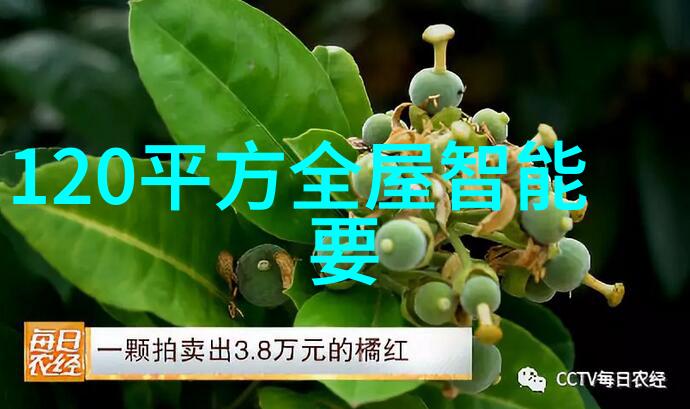 高效干燥解决方案氯化钙干燥设备的选择与应用