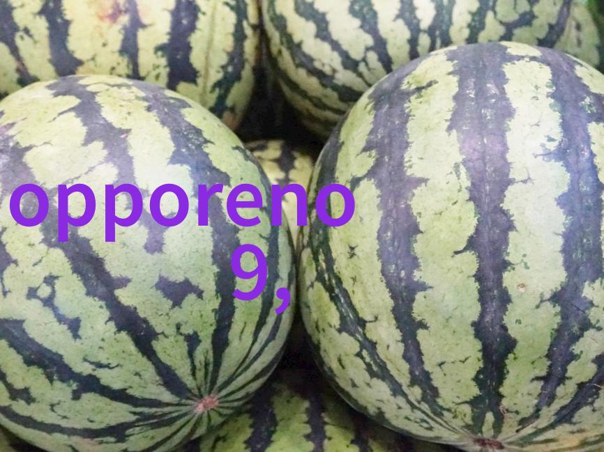 小型阳台上能否种植食用植物比如香草或者蔬菜