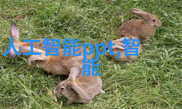 冰冷的守护者冷气贮藏设备的温暖秘密