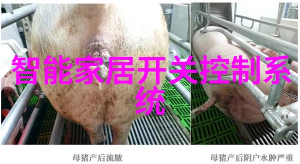 环填料是规整填料我来教你如何做好家里的装修小物件