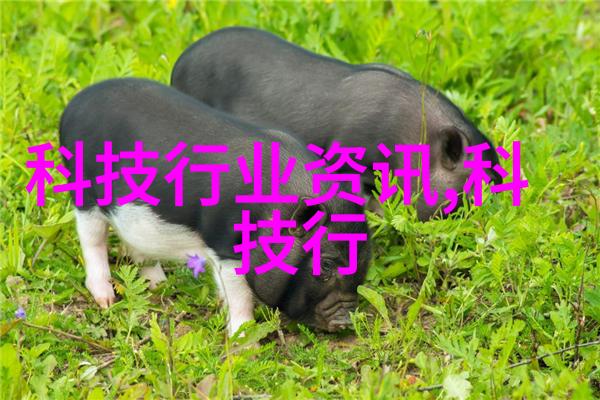 废气净化设备除尘系统高效污染物捕集技术