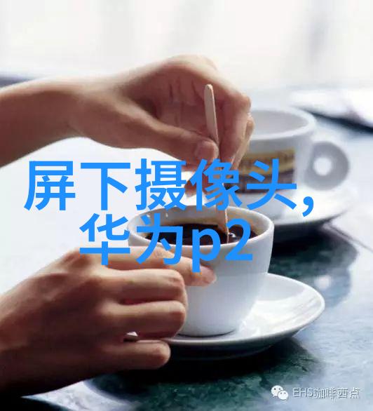 固定床反应器工作原理解析理解化学过程的关键技术