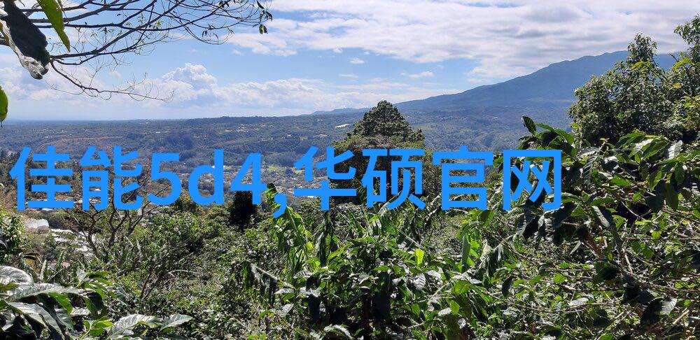 逆电流之舞电子实验室的隐秘歌谣