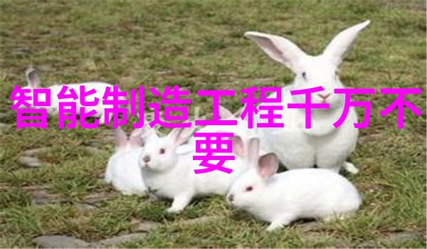工业制冷设备冰之巨轮推动夏日的凉爽