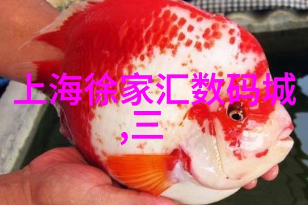 种子加速器开启无限可能的种子世界