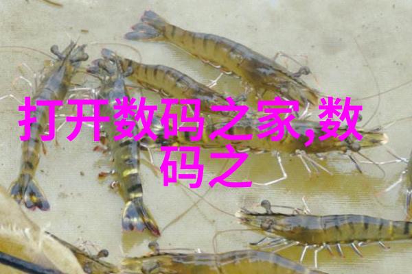 压力仪器精准测量与科学分析