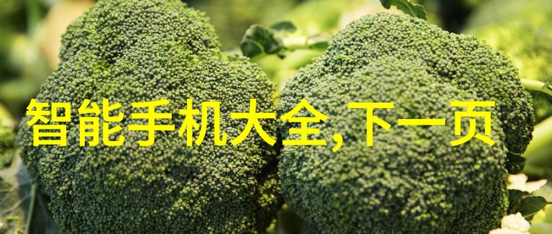 高效废气净化与除尘技术保障环境安全的关键设备
