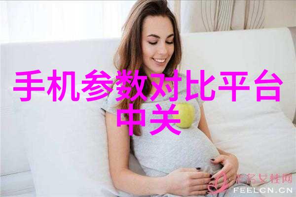 丝网波纹填料规整填充技术与标准规范