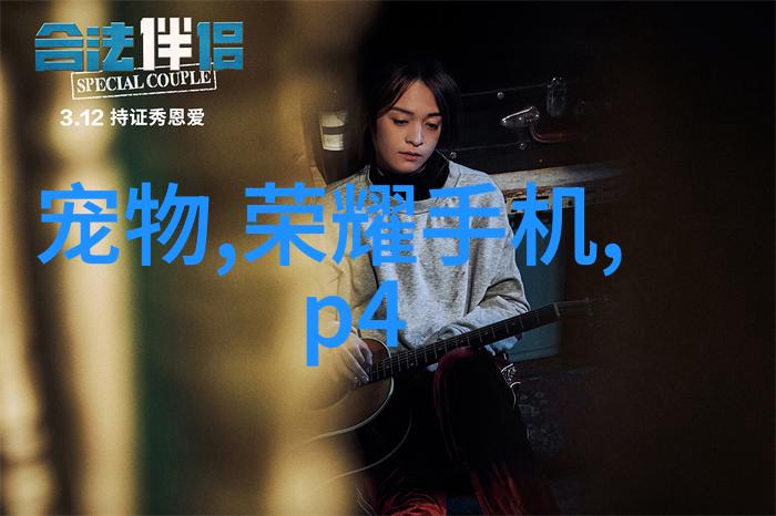 COD水质检测仪器确保清洁饮用水的化学氧化降解监测系统