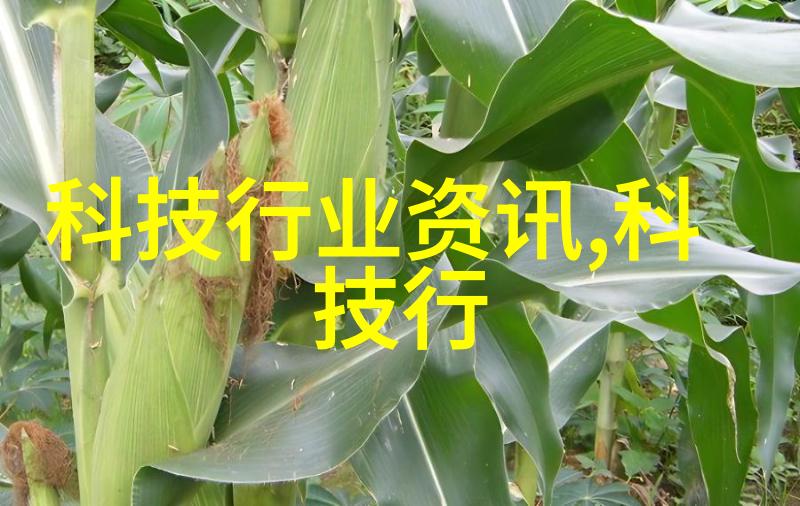 旋风干燥机能否用于生物质燃料或废物的热解过程中