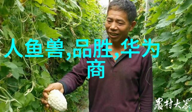 丝接管件精细工艺织造高效连接的艺术与科技