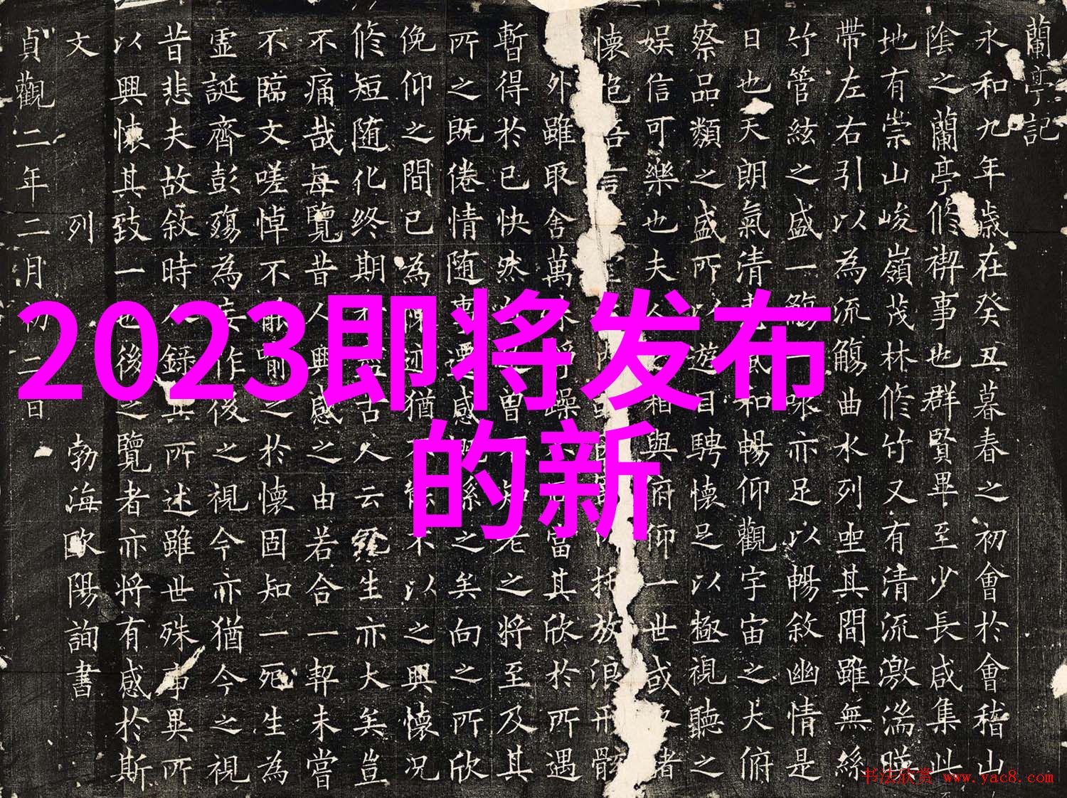 职业兴趣测评免费探索你的最佳工作匹配