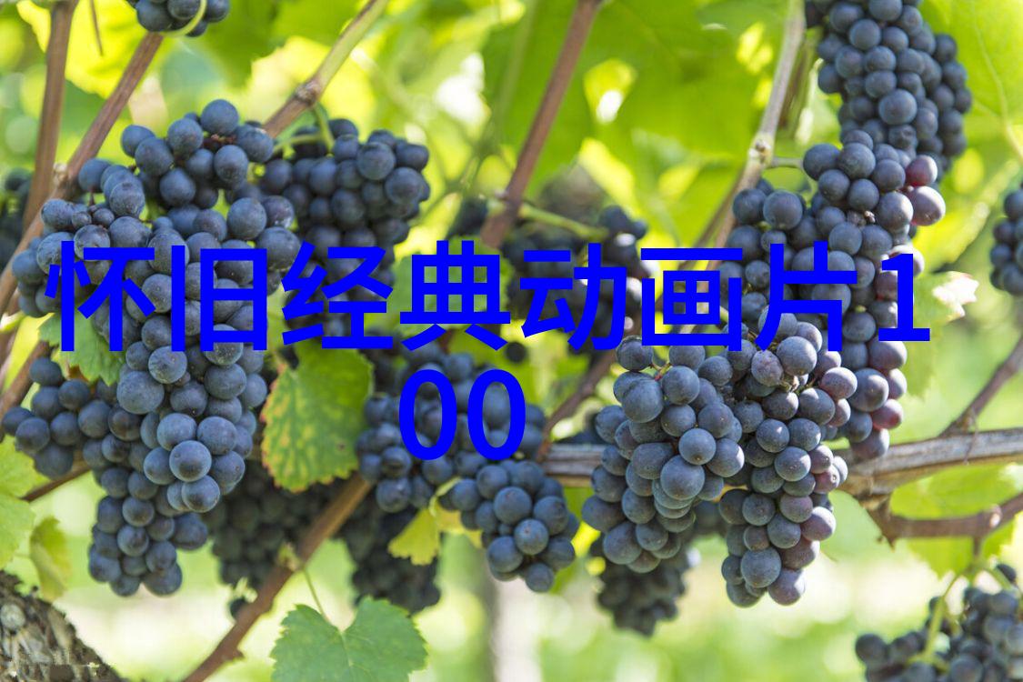 抖音相关负责人网传限制发布时政财经等内容为不实信息中南财经政法大学教务部明确物品管理新规
