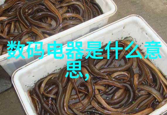 芯片设计的艺术与科技探索数字电路的奇迹