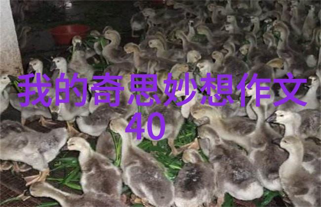 乱堆填料与规整填料特点对比土壤工程技术的应用差异