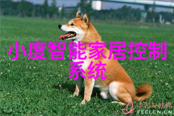 市场监督管理局他们是市场的守护神还是我们隐形的监管者揭秘那些幕后大侠们的真实面目