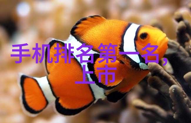 压滤机在现代化食品加工中的应用研究