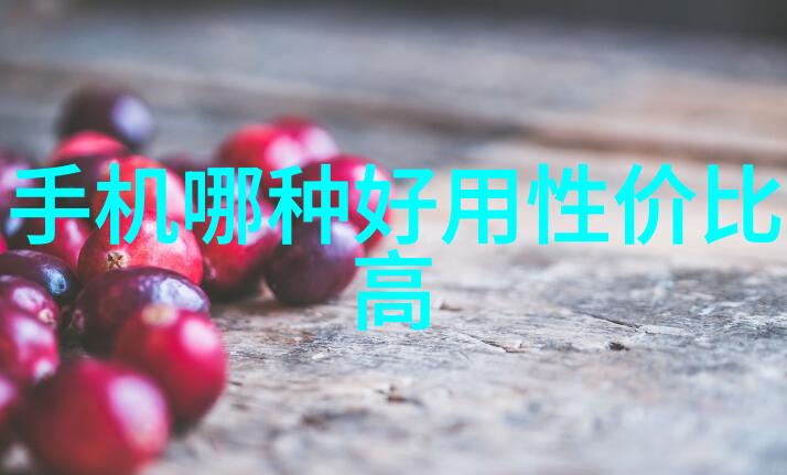 上级单位资金申请报告编制与提交流程概述