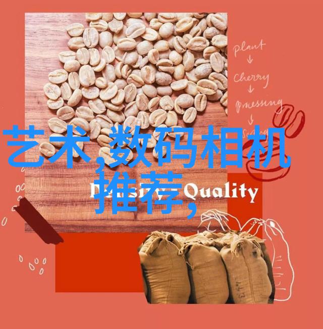 排污许可证管理体系的完善与实践