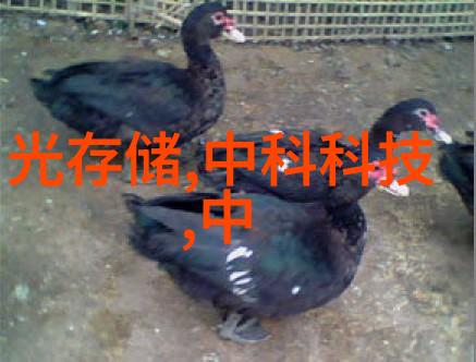 在设计安装大型净水机设备时应考虑哪些因素以确保其长期有效运行