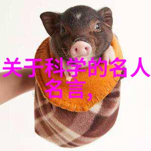 二手实验室设备的新生命周期寻找评估与利用