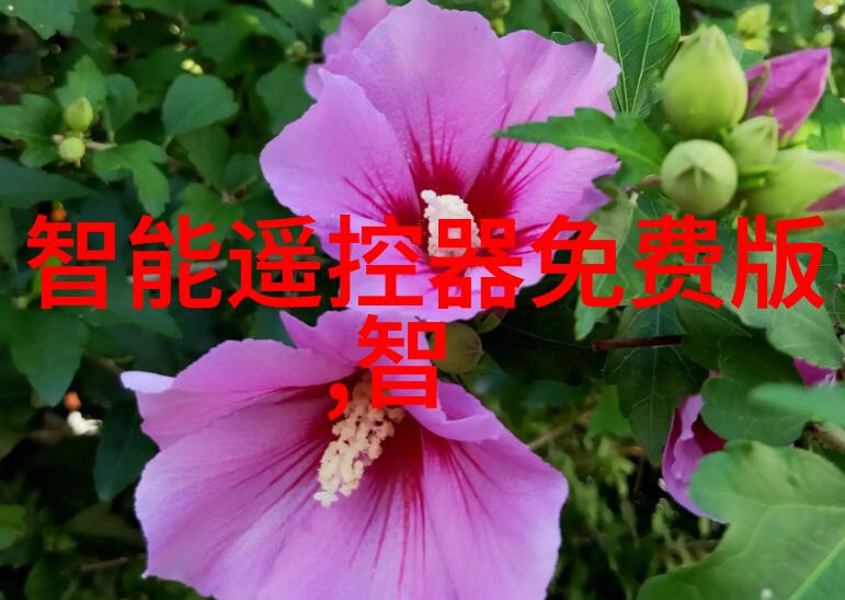 揭秘那些神秘的PE料型号它们背后有什么故事