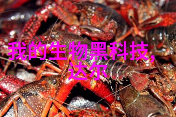HDPE双壁波纹管重塑输送效率与安全标准的创新解决方案