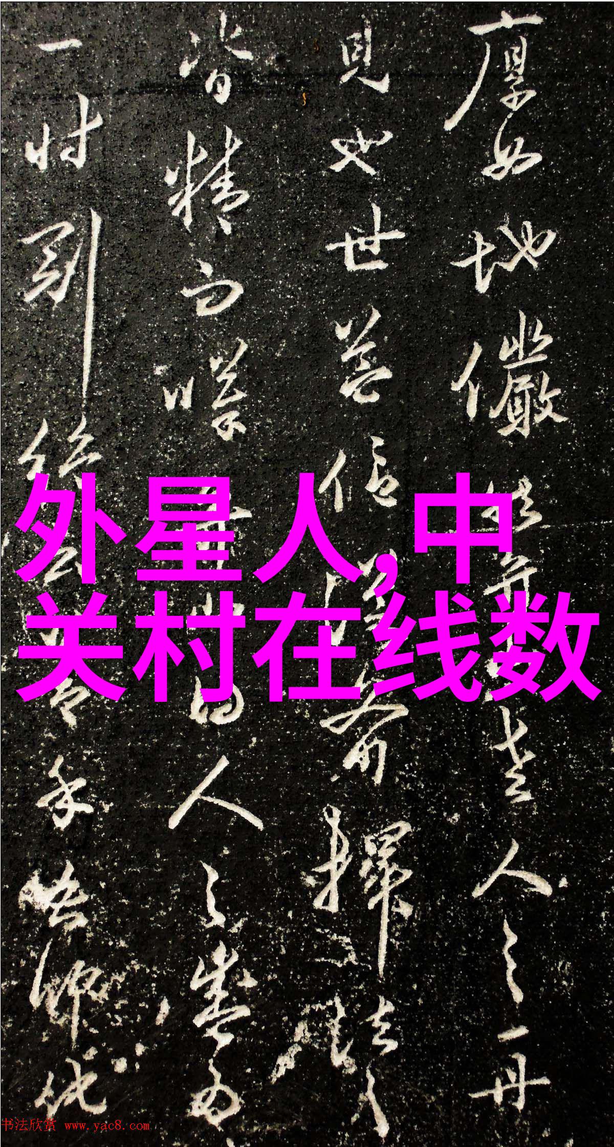 拍摄美景的艺术入门摄影技巧总结