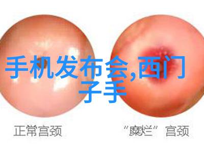 螺旋板冷凝器的工作原理与应用