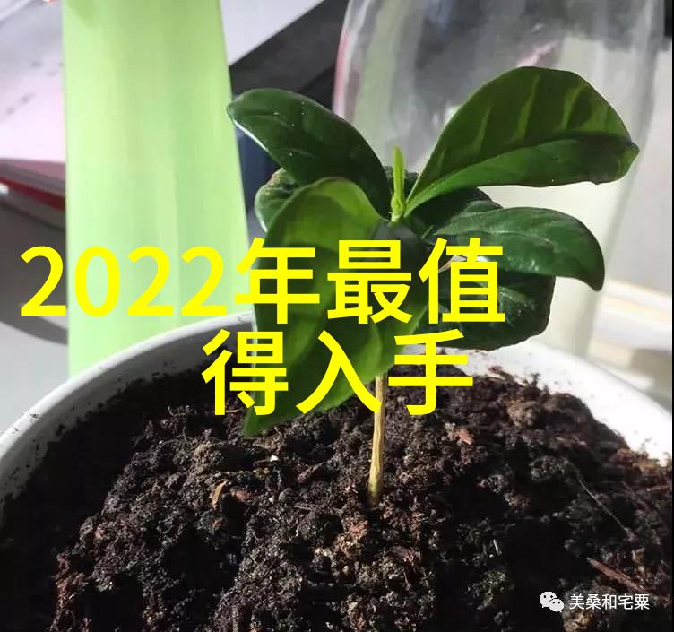 郑州装修设计公司我来帮你找个心仪的居家风格
