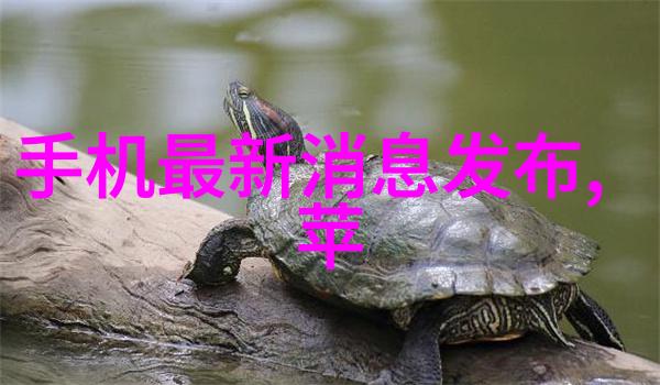 北京等保测评机构名单揭秘守护城市安全的隐秘力量