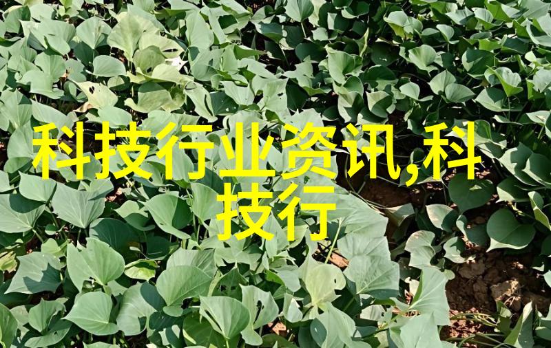 2023年流行装修风格的演变与影响探究现代居住空间设计的新趋势与文化内涵