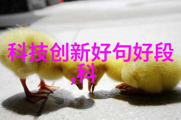 在食品加工领域使用立式沉降式离心机可以提高产品质量吗为什么呢