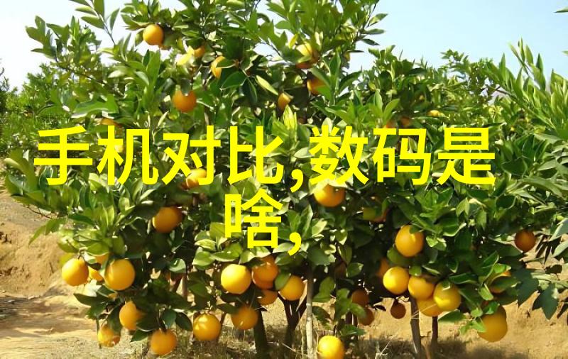 桃红又是一年春踏青吟诗的温柔时光