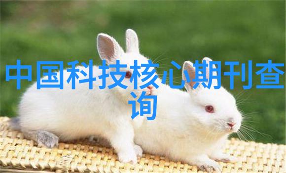 欧美奢华会所探秘高端社交的艺术