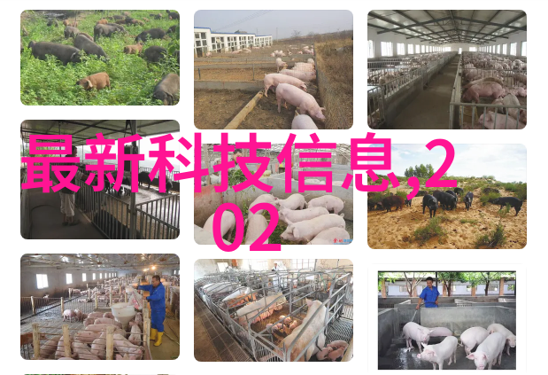 山东省北斗制冷设备有限公司冷链物流的守护者与创新引领者