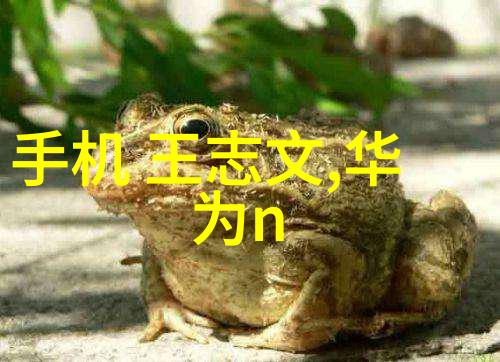 不锈钢板市场价格走势分析成本需求与供应链的综合影响