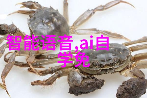 新型粉体设备技术革新概述