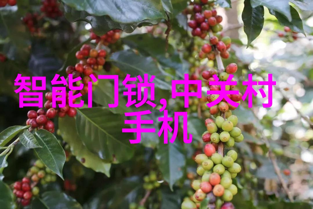 纯净水设备革新追求清澈透明的未来