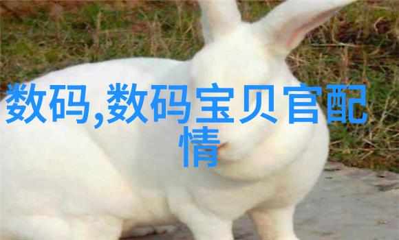 卫生间小窝大变革5平方米装修预算解析